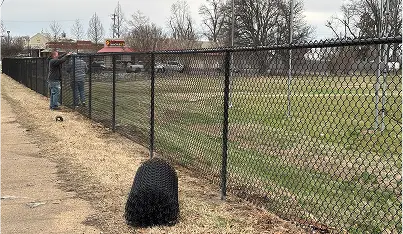 Fencing Image
